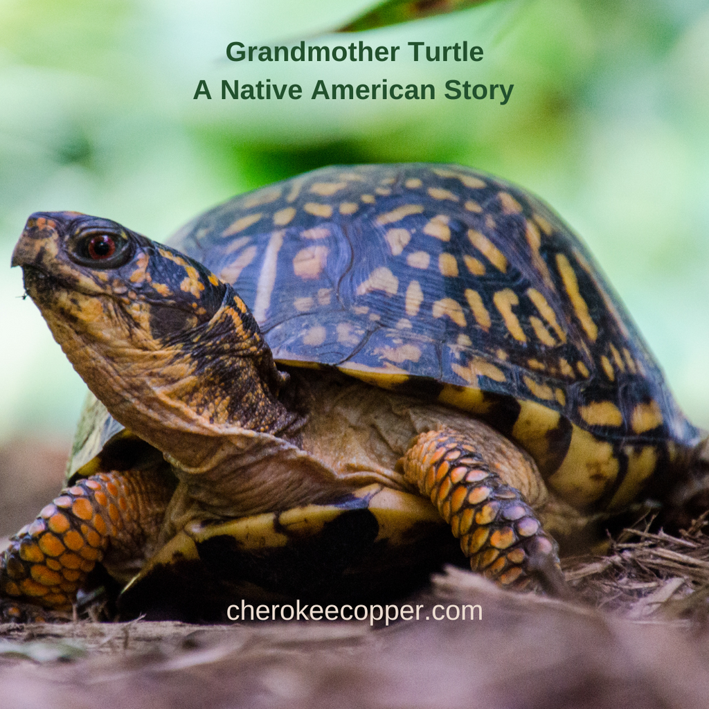 Grandmother Turtle - A Creation Story – Cherokee Copper