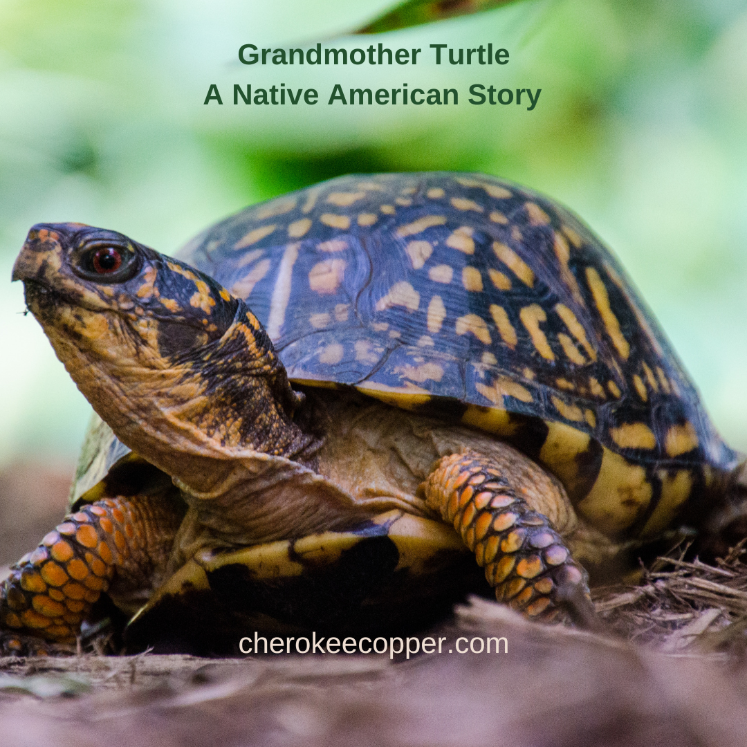 The Story of Grandmother Turtle
