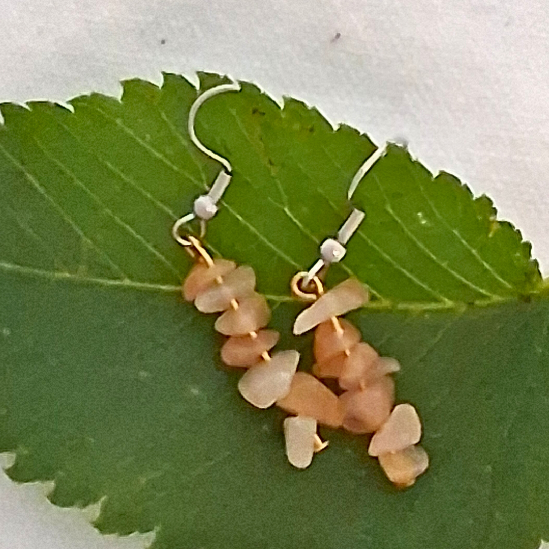 Red Aventurine Dangle Earrings